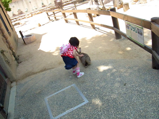 クロムハーツと動物園 (29)