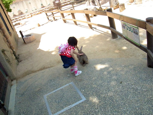 クロムハーツと動物園 (30)