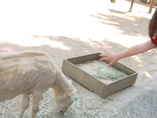 クロムハーツと動物園 (34)