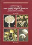 A_monograph_of_the_genera_Hemimycena.jpg