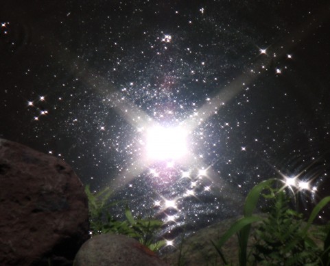 池の中の銀河