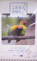 111005-botan04.jpg