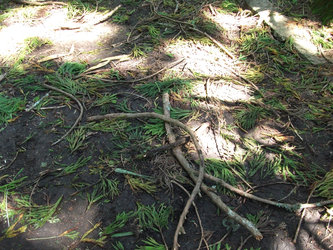 DSCF145901.jpg