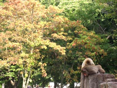 IMG_8701.jpg