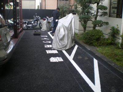 IMGP4176.jpg