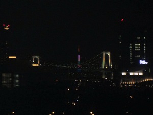 ジャパン建材フェア2012 夜景
