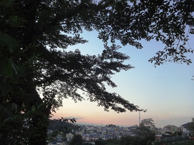 夕日の丘