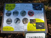 DSCN6856.jpg
