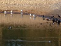 DSCN6882.jpg
