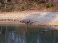 DSCN6883-1.jpg