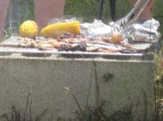 bbq.jpg