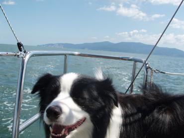 sc_2011_0923_05.jpg