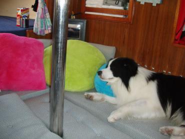 sc_2011_0923_09.jpg