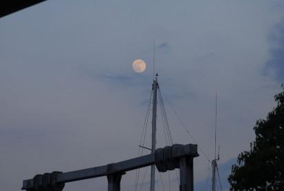 sc_20130622_08.jpg