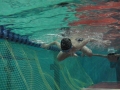 IMGA0013_20131202235343fe2.jpg