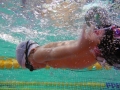 IMGA0015_20131202235413c95.jpg