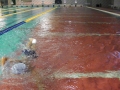 IMGA0016_20131202235558043.jpg