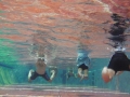 IMGA0110.jpg