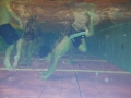 IMGA0392_201312122334029fa.jpg