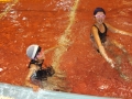 IMGA0397_20131203015605803.jpg