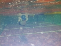 IMGA0403_20131203015632ea5.jpg