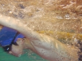 IMGA0408_201312030156370b4.jpg