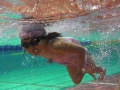 IMGA0422_2013120302004235b.jpg