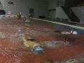IMGA0425_20131203020159c3b.jpg