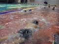 IMGA0906_201312022329092ad.jpg
