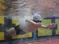 IMGA0940_201312022331563b8.jpg