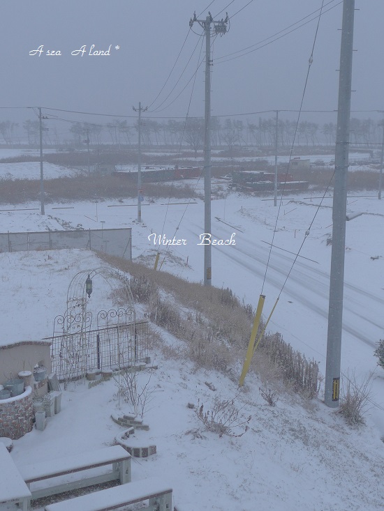 雪の庭**