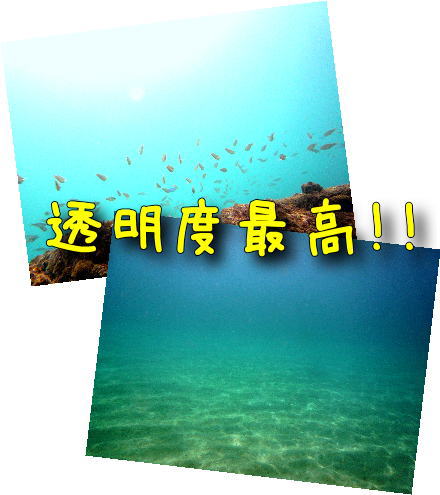 canvas_20120212222338.jpg