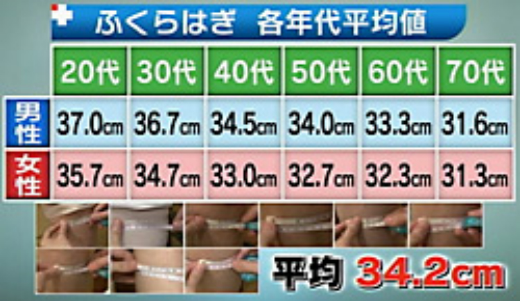 ふくらはぎ 平均 日本人の平均的な身体 太りたい人が太るための方法