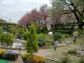 馬事公苑庭園2