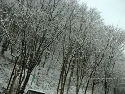 雪景色②