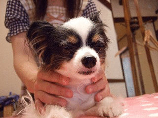 リッキーマッサージ