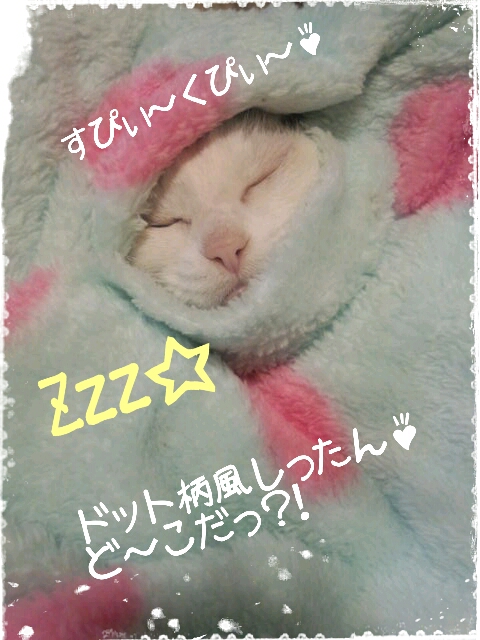2013-02-11-02-34-44_deco.jpg