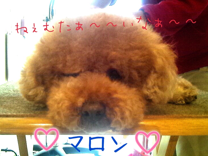 2013-03-15-15-26-54_deco.jpg