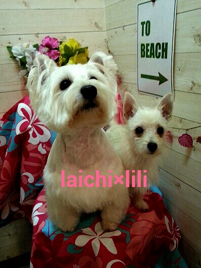 2013-03-22-18-06-52_deco.jpg