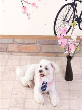 2013-04-25-17-55-25_deco.jpg