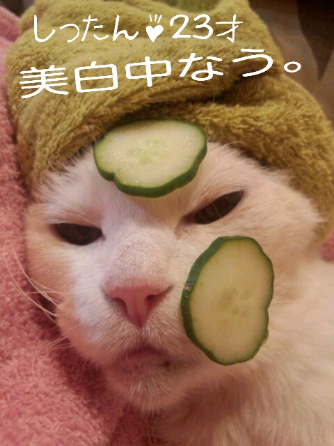 2013-05-17-23-49-17_deco.jpg