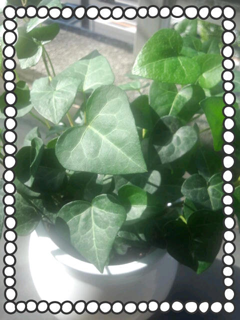 2013-06-14-07-37-57_deco.jpg