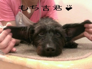 2013-06-15-21-30-37_deco.jpg