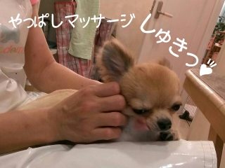 2013-06-21-21-47-18_deco.jpg
