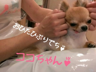 2013-06-21-22-46-56_deco.jpg