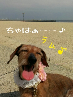 2013-06-24-23-23-45_deco.jpg