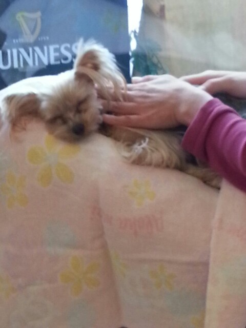 2013_0112_113132_388.jpg