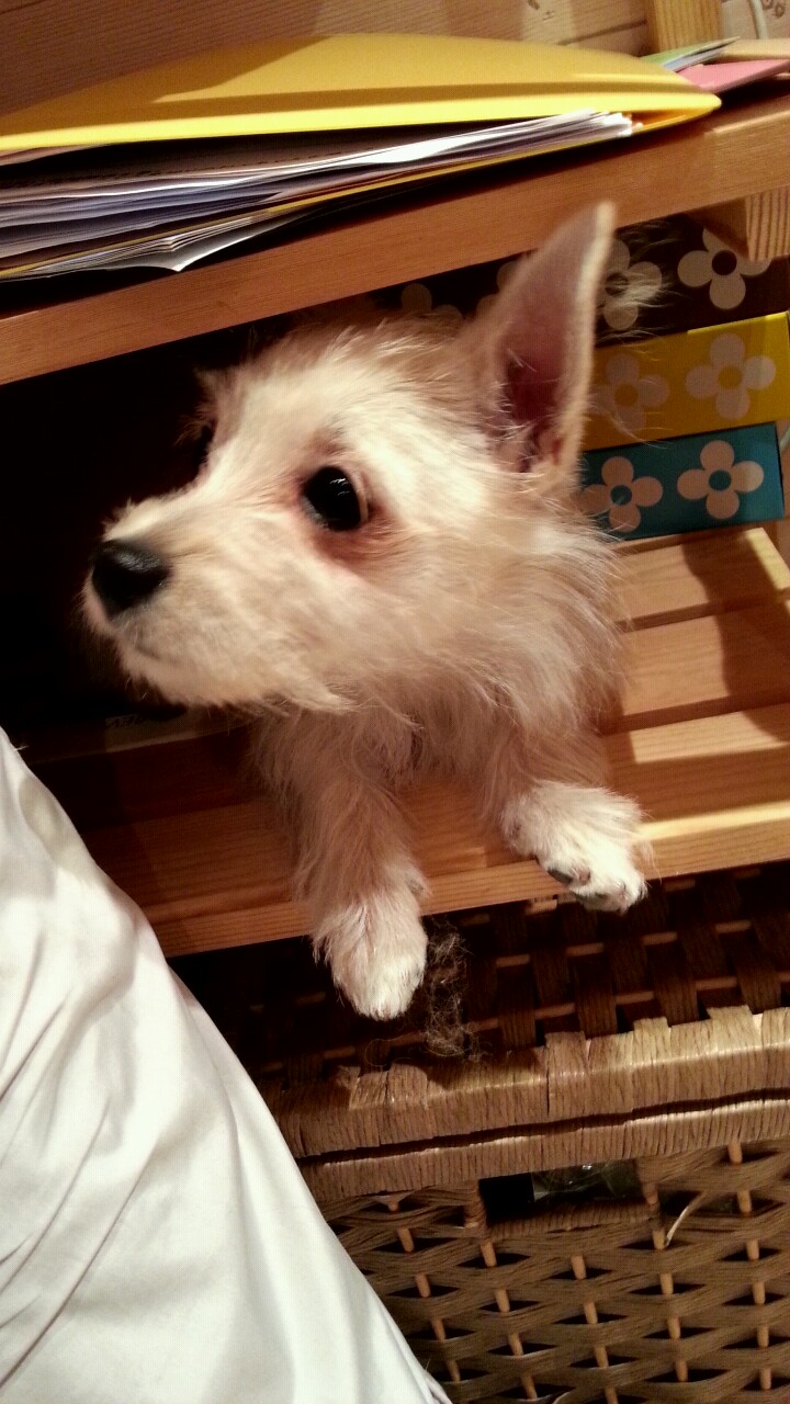 2013_0322_173257_506.jpg