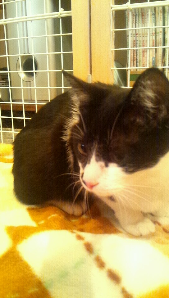 2013_0407_104729_814.jpg