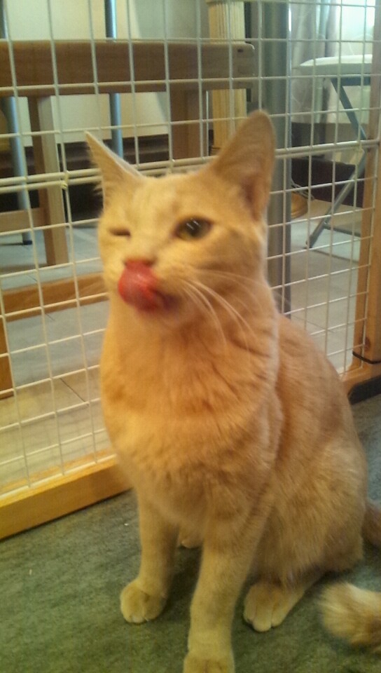2013_0407_104751_784.jpg